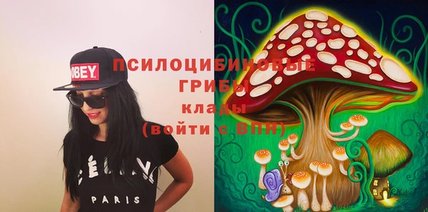 ПСИЛОЦИБИНОВЫЕ ГРИБЫ Карпинск