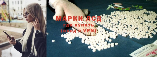 ПСИЛОЦИБИНОВЫЕ ГРИБЫ Карпинск