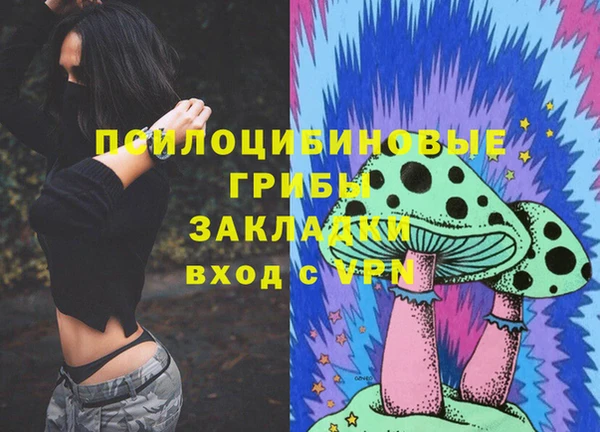 ПСИЛОЦИБИНОВЫЕ ГРИБЫ Карпинск