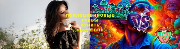 ПСИЛОЦИБИНОВЫЕ ГРИБЫ Карпинск